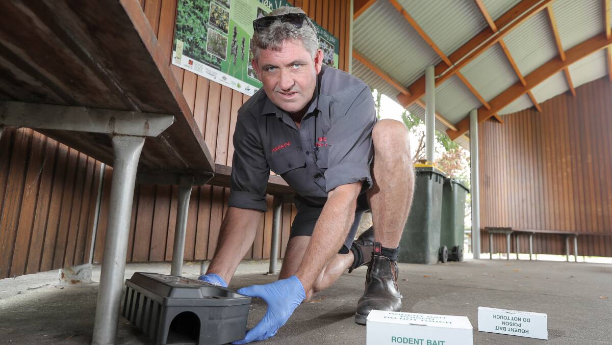 Andrew Bosse of A.A. Bosse Pest Control lays baits for mice inside sheds in Warrnambool to counter an unseasonally early rise in mice numbers.
Picture: Rob Gunstone