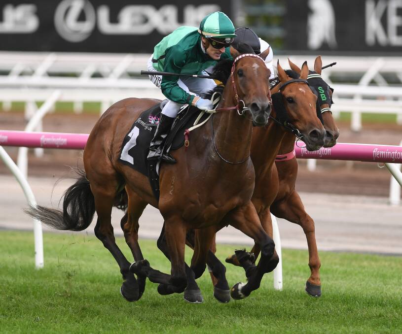 CHANCE: Jockey Mark Zahra rides the Darren Weir trained Humidor (left) in the Blamey Stakes at Flemington. Picture: AAP/Julian Smith