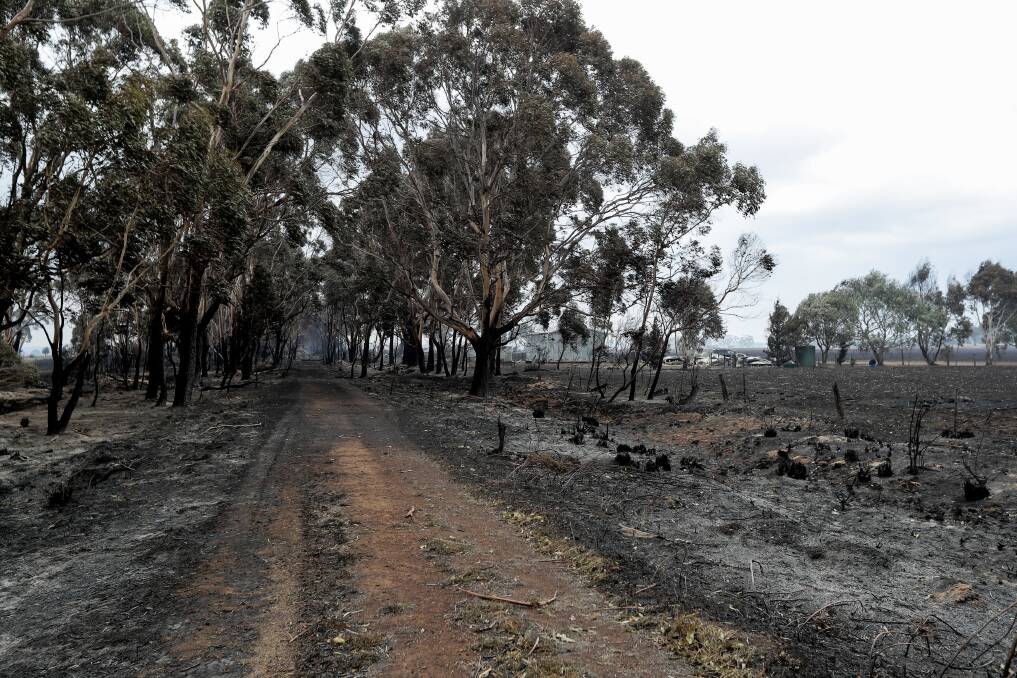 A burnt-out property at Elingamite following the St Patrick's Day fires. Picture: Rob Gunstone