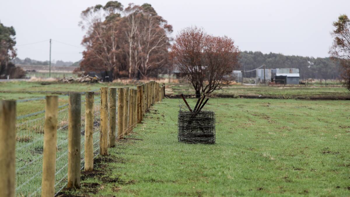 Resilience: New fences and regrowth are signs of recovery following the St Patrick's Day fires.  Picture: Rob Gunstone