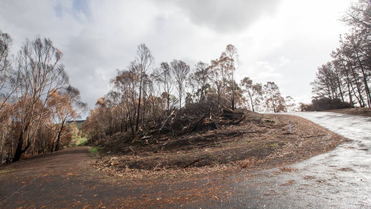 Blackened: The grim fire scene along a road down to Lake Bullen Merri, part of the 344 hectares burnt in the Camperdown fire. 