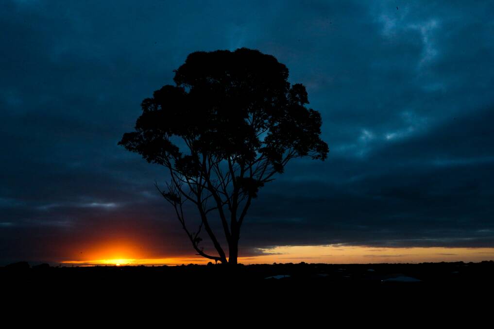 A winters day in Warrnambool. Picture: Morgan Hancock