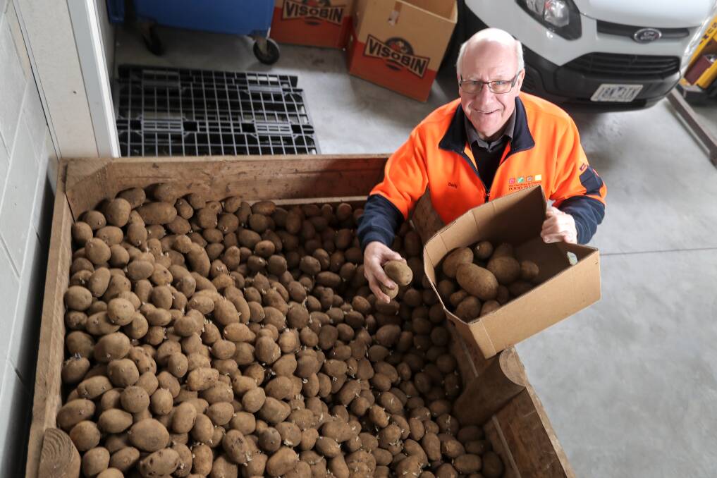 Healthy donation: Foodshare's Dedy Friebe packs potatoes for distribution after a 1300 kilogram donation from a Southern Cross farm. It comes after a generous community response following an article in The Standard about a rising demand for food hampers. Picture: Rob Gunstone