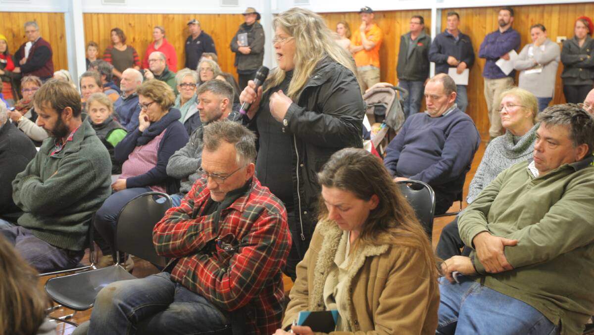 Opposing: Hawkesdale resident Liana Blake tells the meeting she was distraught at the prospect of having a turbine from the planned Hawkesdale wind farm only 1.1 kilometres from her house and five within two kilometres. She believes her house will be affected by turbine blade flicker. 