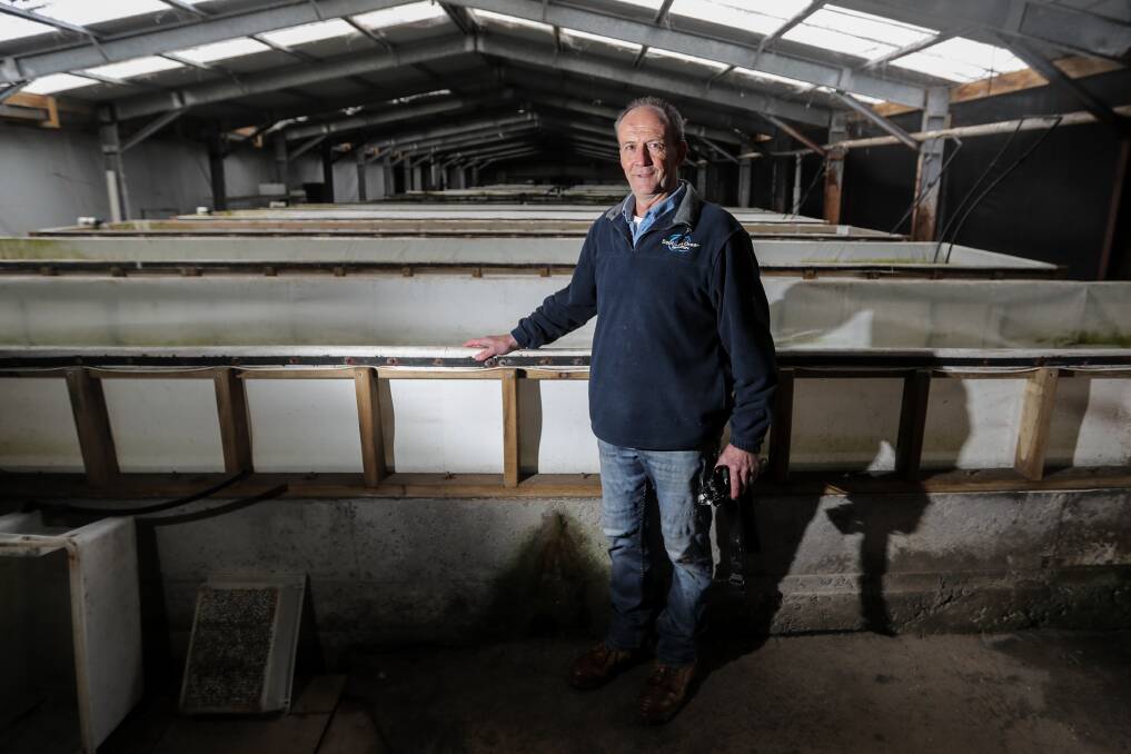 Healthy boost: Port Fairy's Southern Ocean Mariculture boss Mark Gervis is hoping abalone processing waste will soon be transformed into a nutraceutical – a medicinally or nutritionally functional food. Picture: Morgan Hancock