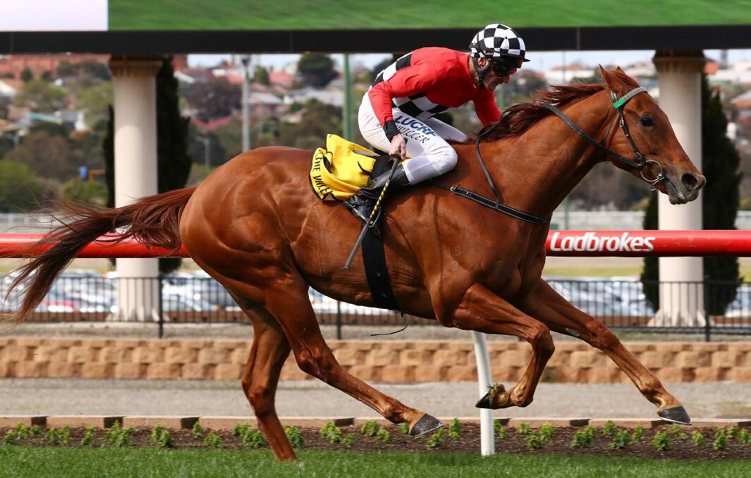 SCRATCHED: Trap For Fools, pictured racing in September with jockey Brad Rawiller in the saddle, did not run at Caulfield on Saturday. Picture: AAP Image