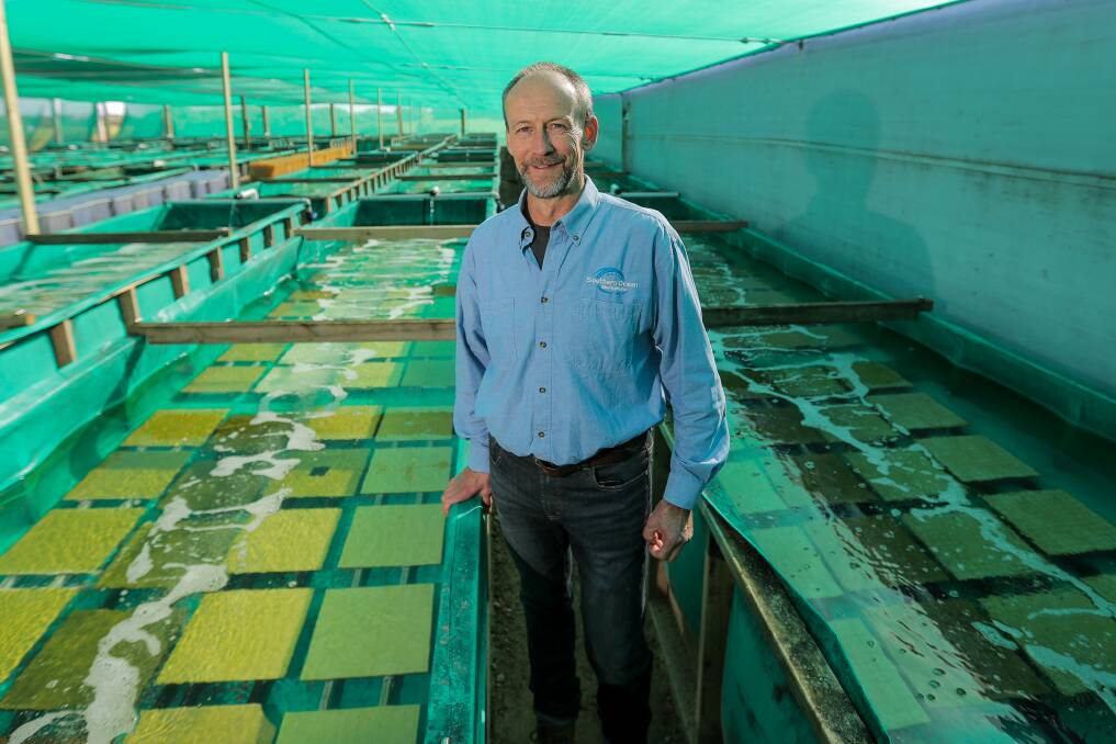 UNCERTAIN TIMES: Southern Ocean Mariculture general manager Mark Gervis says the impact of the coronavirus on his business will not be known for some time. Picture: Morgan Hancock