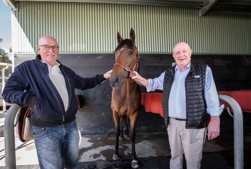 WAITING GAME: Part-owners Geoff McLaren and Peter Walsh with Humidor who is now battling injury. Picture: Christine Ansorge


