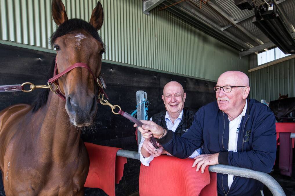 HAPPY: Part-owners Peter Walsh and Geoff McLaren were all smiles with Humidor ahead of the Cox Plate. Picture: Christine Ansorge