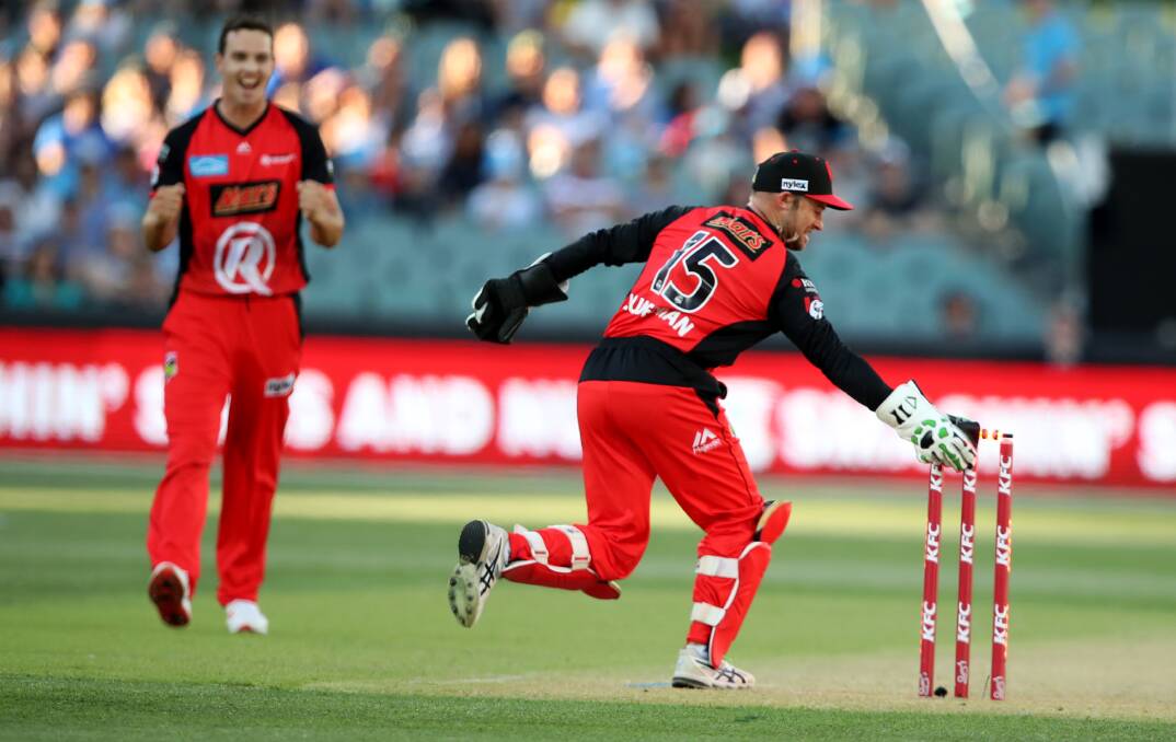 New coach: Nirranda's Tim Ludeman, here playing for the Melbourne Renegades, has appointed co-coach of the Geelong Cricket Club with Matt Gunther. Picture: AAP