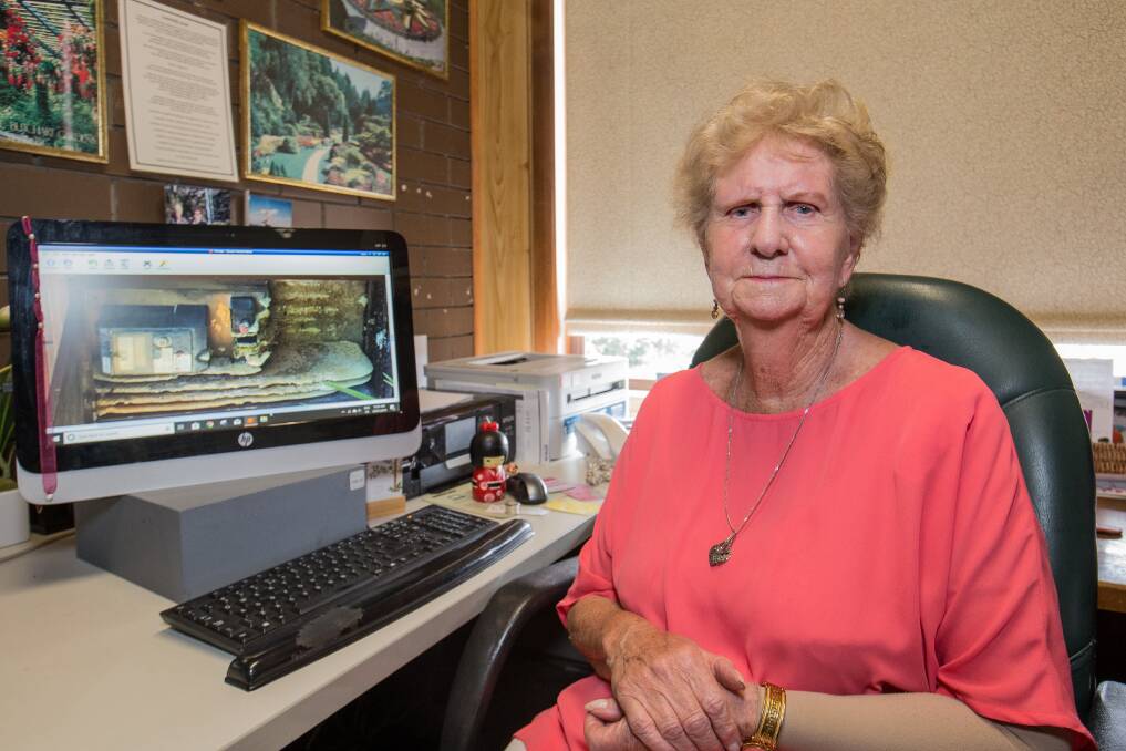 Bee gone: Phyllis McLeish is pictured next to her computer, with a photo of the bee hive found in her power box. Picture: Christine Ansorge