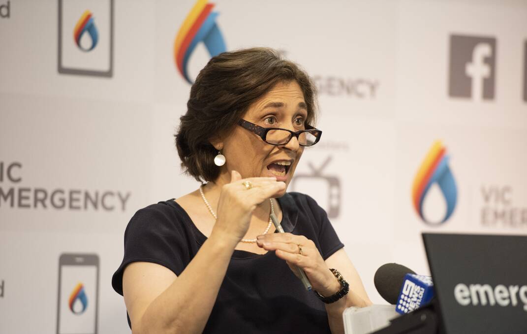 Under fire: Victorian Energy Minister Lily D'Ambrosio speaks at a press conference in Melbourne during January.