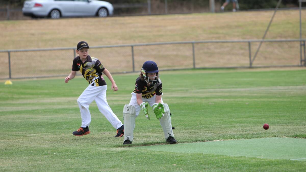 Merrivale wicketkeeper Archer Boyle and fielder Toby Madden. Picture: Anthony Brady