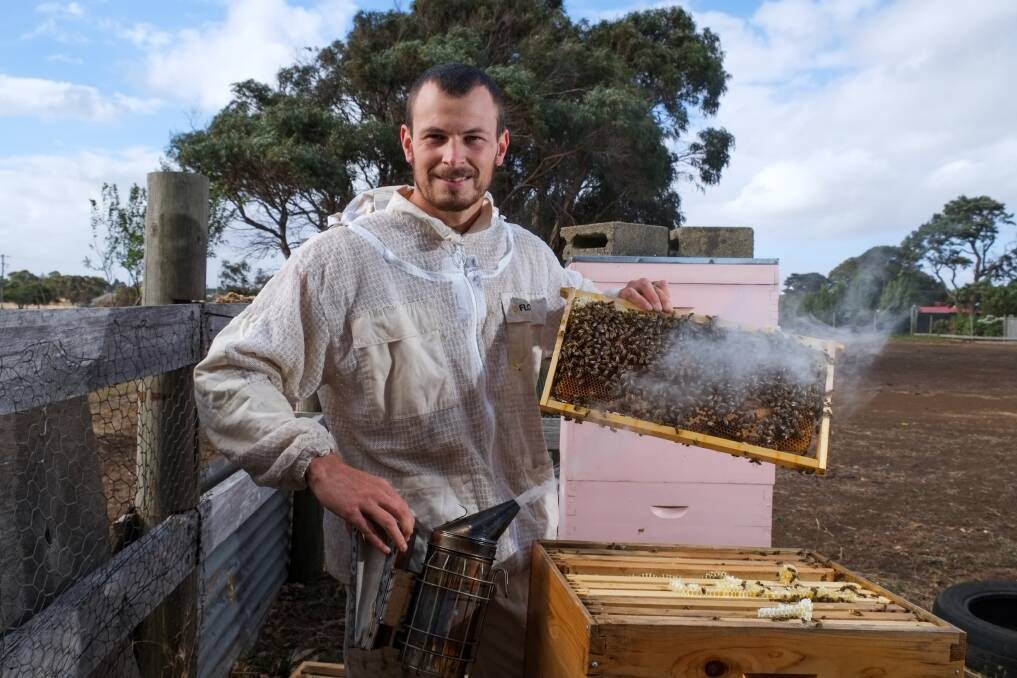 Smokin': Tim Martin, Tower Hill Beekeeping, wants to keep bee numbers high. Picture: Rob Gunstone