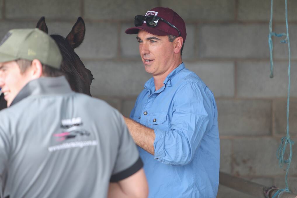 Ready for action: Warrnambool trainer Symon Wilde's Inn Keeper resumes in a $125,000 sprint race at Caulfield on Saturday. Picture: Morgan Hancock

