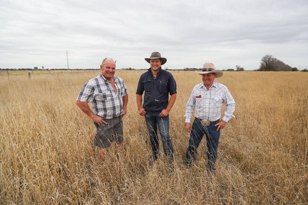 DISAPPOINTED: Moyne Shire Councillor Daniel Meade, pictured centre, moved a motion to write to Victorian ministers to express disappointment over a droving incident in May. He is pictured at the time with cattle owner Geoff Allan and drover John Wilson. Picture: Morgan Hancock
