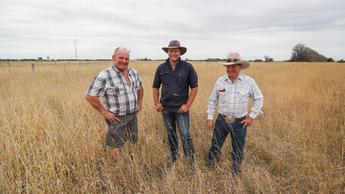 ALL SMILES: Moyne Shire councillor Daniel Meade shows cattle owner Geoff Allan and drover John Wilson the tall vegetation on a roadside near Mortlake. Picture: Morgan Hancock