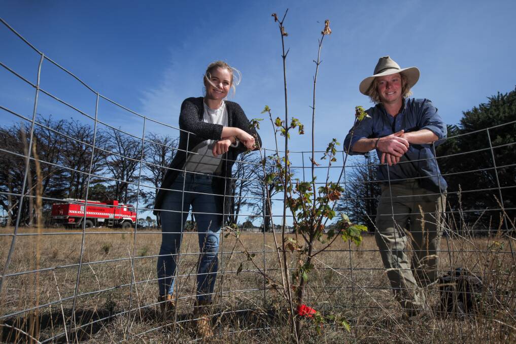 Siblings Elle and Harry Moyle planted a maple tree on the site of Harry's home that was destroyed when the St Patrick's Day bushfires swept through Gazette. Picture: Rob Gunstone