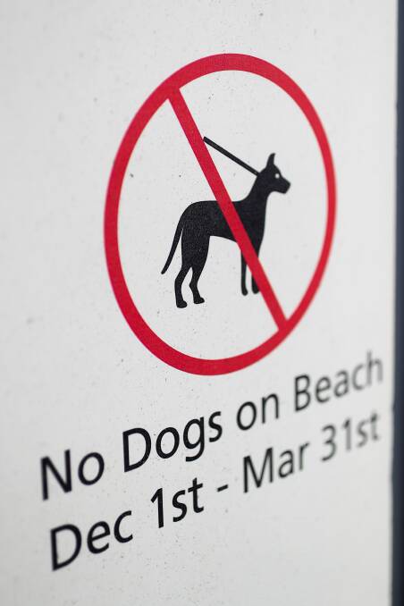 Letters: 'Dogs use the beach as a toilet'