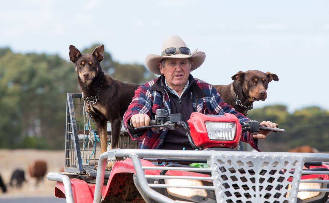 FED UP: Drover John Wilson is fed up with red tape and is ready to go home to NSW. Picture: Christine Ansorge