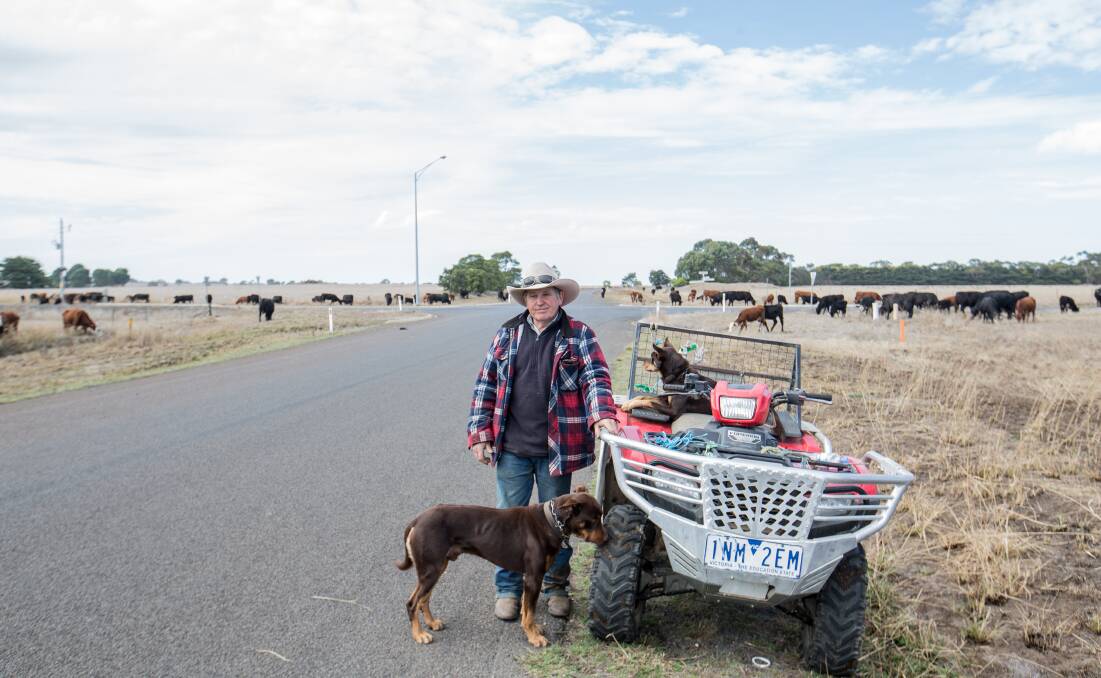 FORCED OUT: Drover John Wilson and the 360 head of cattle he had with him have gone back to NSW due to red tape that prevented them from moving to a new area. Picture: Christine Ansorge