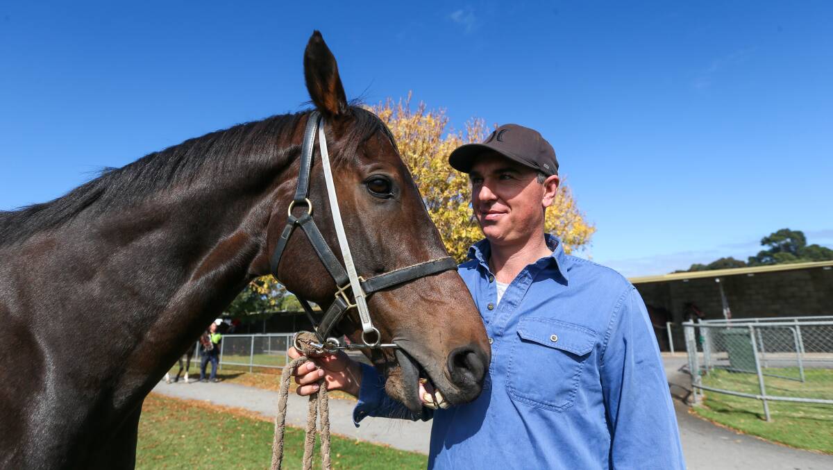 CLOSE ATTENTION: Warrnambool trainer Symon Wilde spends some time with Gold Medals. Picture: Rob Gunstone