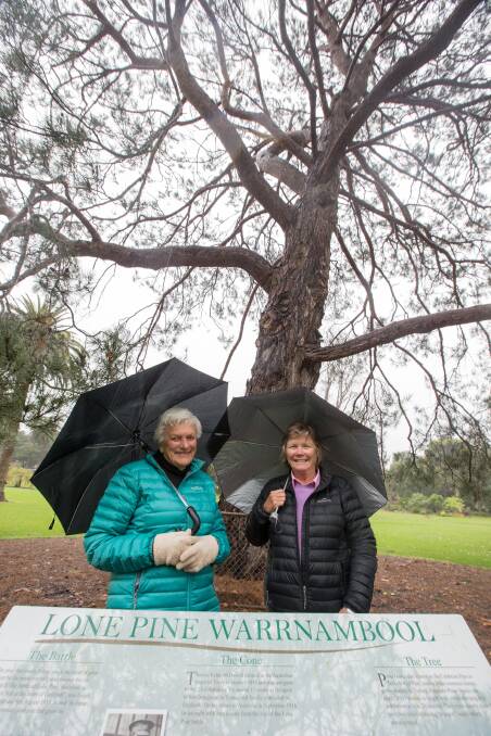 Pat Varley and Mandy King at the Lone Pine which has been nominated for the Victorian tree of the year. Picture: Christine Ansorge