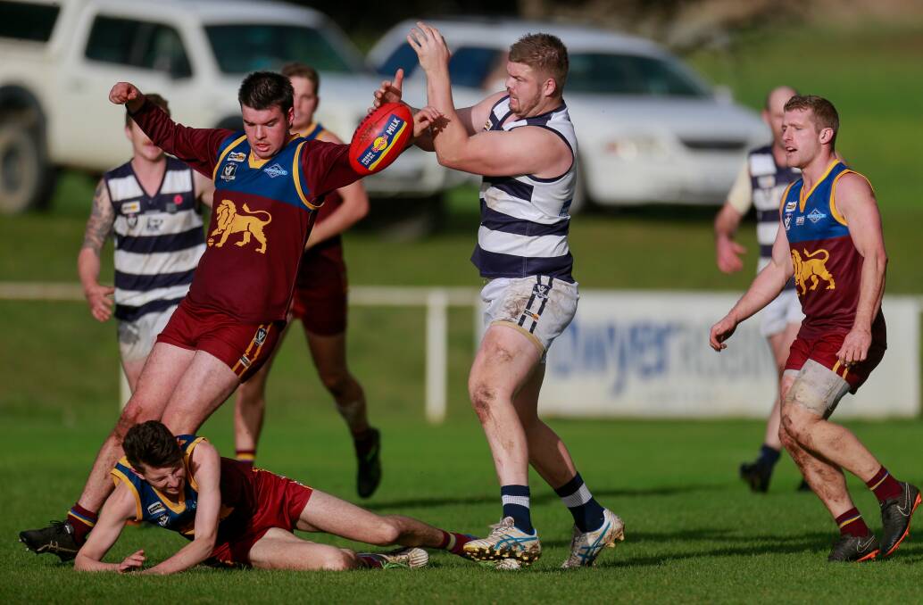 In dispute: Lion Tate Gardiner and Cat Robbie Hare during Allansford's two-goal win over South Rovers at Walter Oval on Saturday. Picture: Anthony Brady