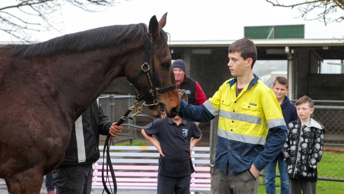 GOT ANY CARROTS?:Hands on Learning student Chris Bentham, pats racehorse Gold Medals on Thursday morning. 