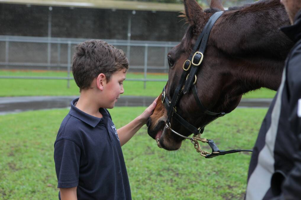 LOVING THE ATTENTION: Warrnambool SDS student Jake Wylie pats racehorse Gold Medals. Pictures: Rob Gunstone