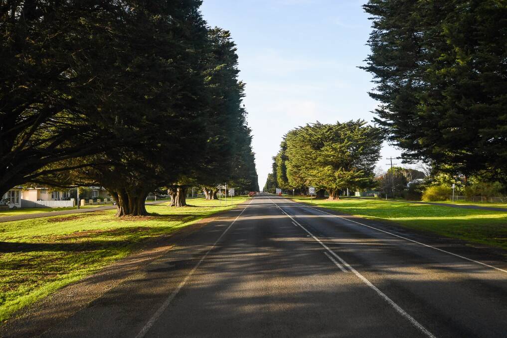 Plans to replace Mortlake's picturesque Avenue of Hounour with a different species of trees are slowly progressing. Picture: Morgan Hancock
