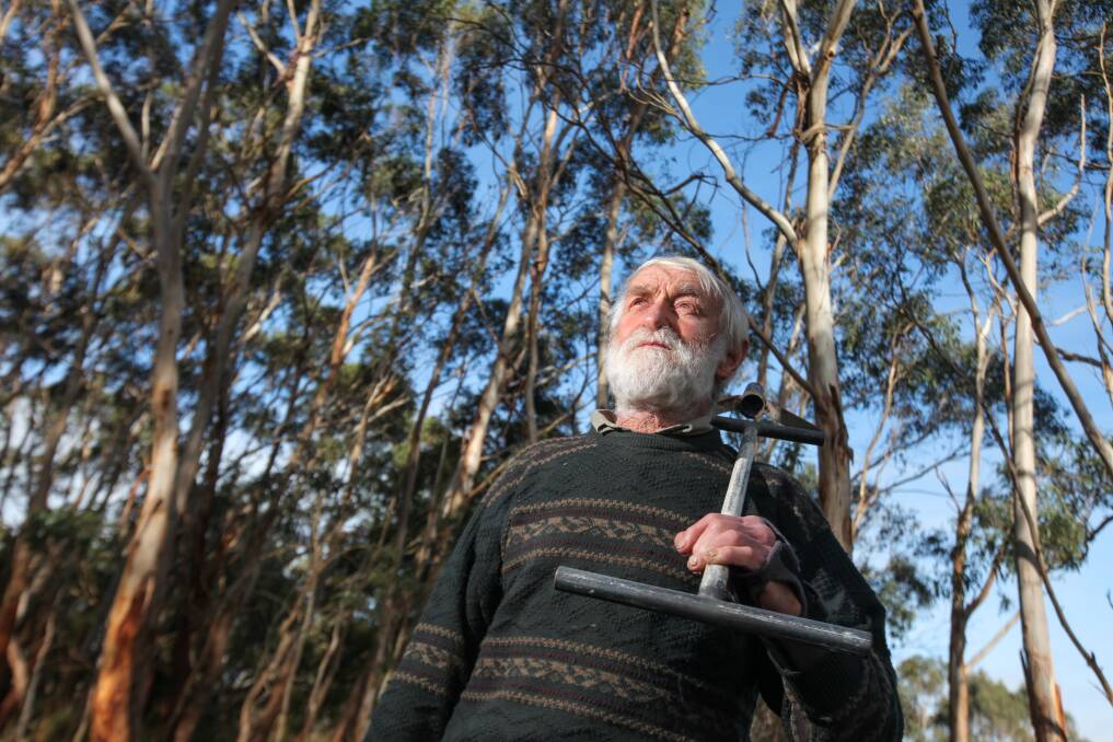 Pallisters Reserve committee member Peter Carrucan has a look at some of the trees planted in previous events, before Sunday's Protecting Brolgas and Bandicoots workshop. Picture: Rob Gunstone