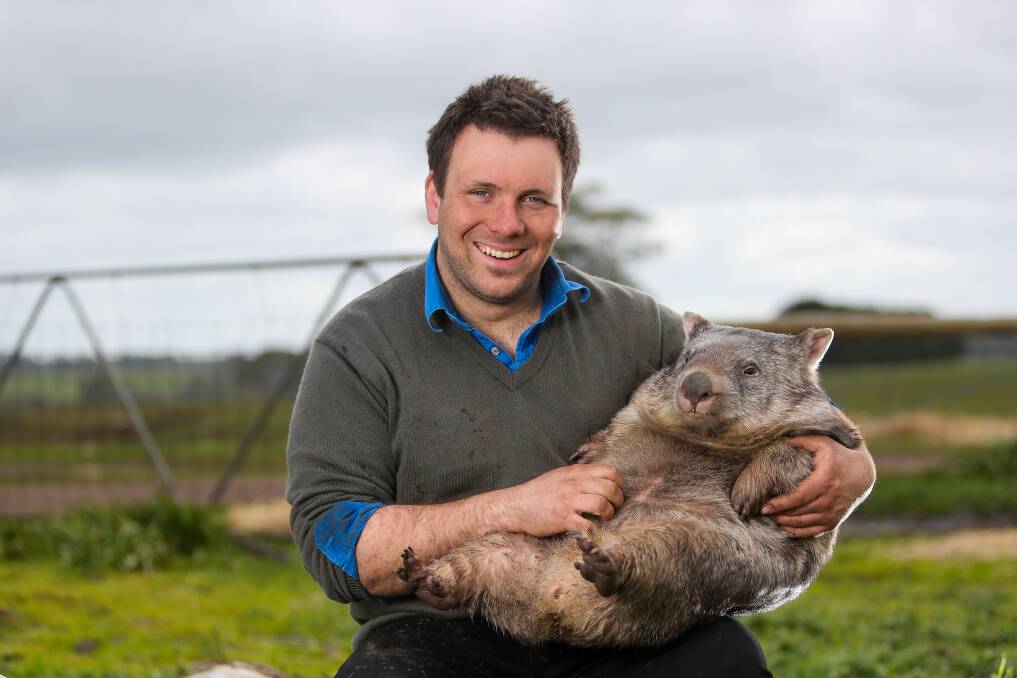 Boo the wombat has been raised by Nicholas Petropoulos. Picture: Morgan Hancock