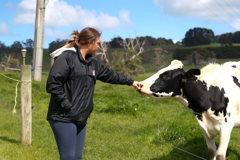 Friends: Cobden's Alicia Blain with one of the heifers at her family's block near Timboon. Picture: Mark Witte