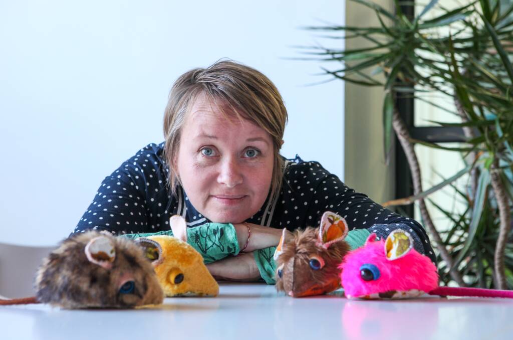 Craftivism: Warrnambool artist and environmental activist Megan Nicolson is running a sewing workshop to teach people how to make white footed dunnart softies. Picture: Rob Gunstone