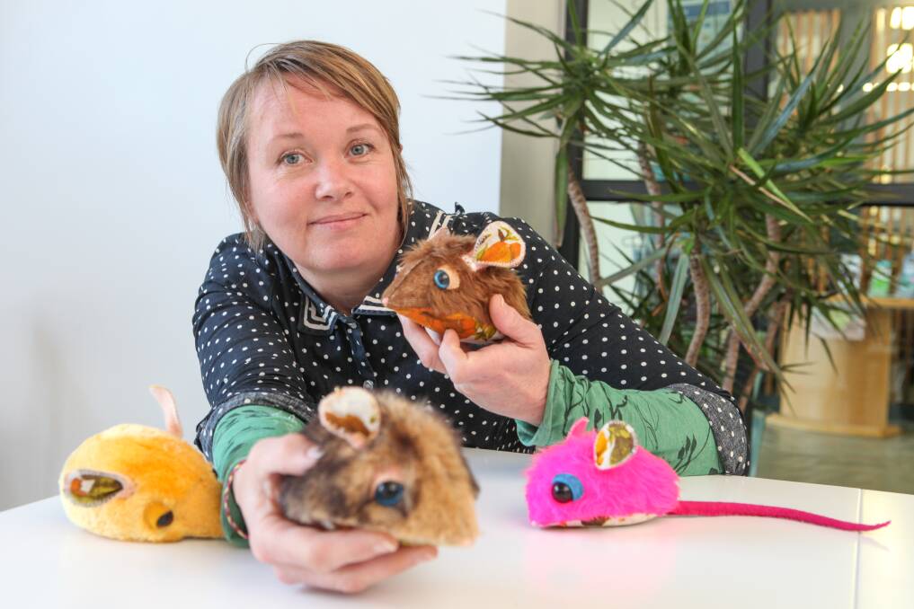 Endangered: Warrnambool artist Megan Nicolson is running a sewing workshop to teach people to make soft toy dunnarts. Picture: Rob Gunstone