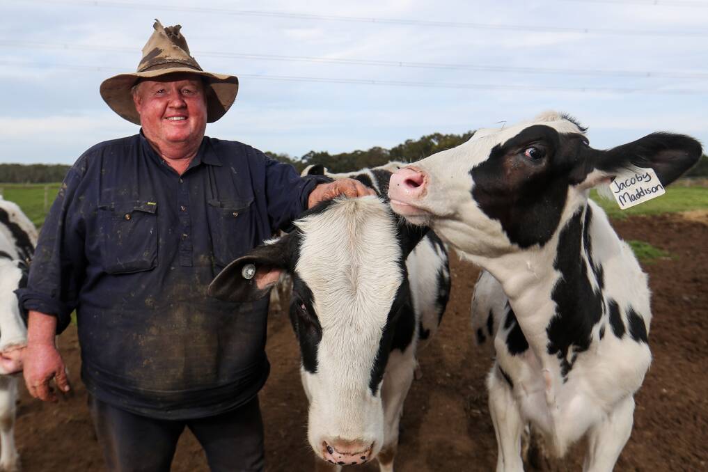 VIDEO SALE: Dairy farmer Greg Anderson will sell 26 of his family's Cashmore dairy cattle via a video-based sale in Warrnambool. Picture: Morgan Hancock