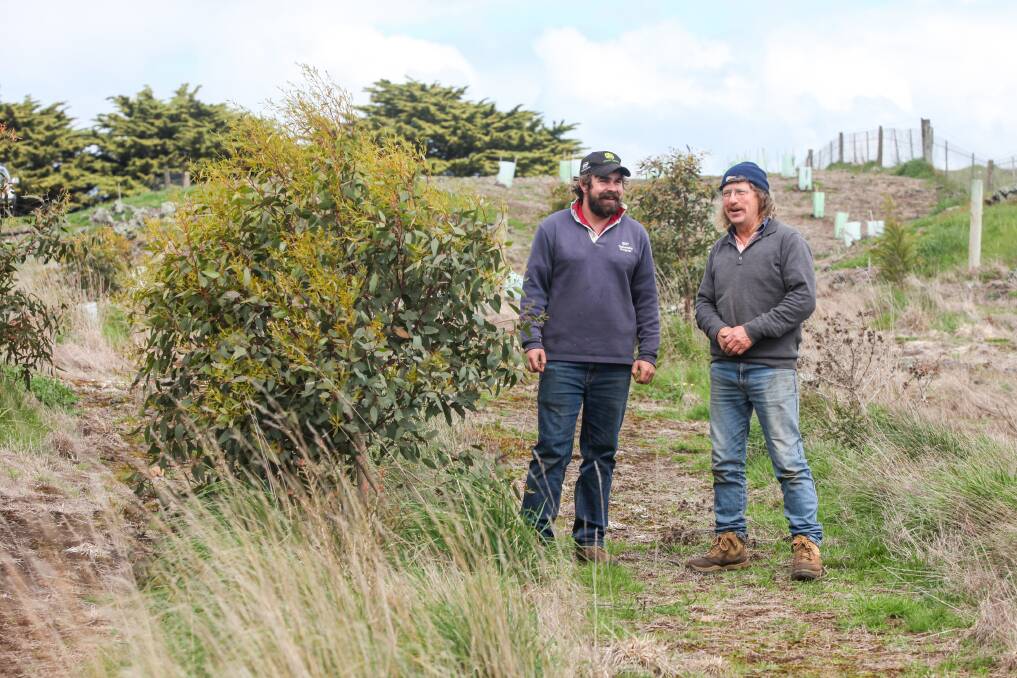 Happy: Gazette farmers Daniel Mirtschin and Jeff Semmens are happy with the grants given to the Gazette Land Action Group to help plant native bush wind-breaks on their properties. Picture: Rob Gunstone