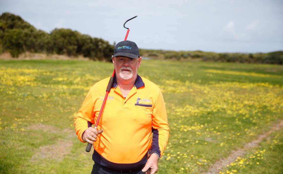 READY TO HELP: Port Fairy Pest Control's Neville Suter catches and releases snakes across the south-west. He has been busy over the past fortnight. Picture: Mark Witte