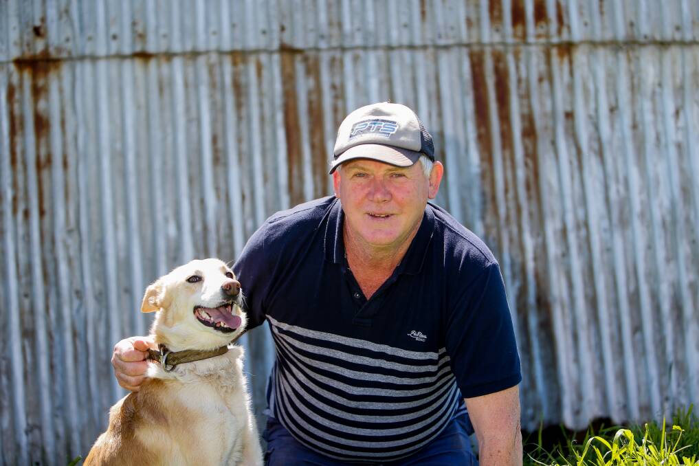 CAREER CHANGE: Koroit's Barry Paton, with his pup Shine, has started up a new business training dogs after almost 40 years in the dairy industry. Picture: Anthony Brady
