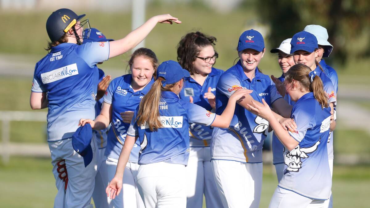 HELP NEEDED: The Warrnambool and District Cricket Association is looking to train up umpires for its under 17 girls and women's cricket competitions. Picture: Mark Witte