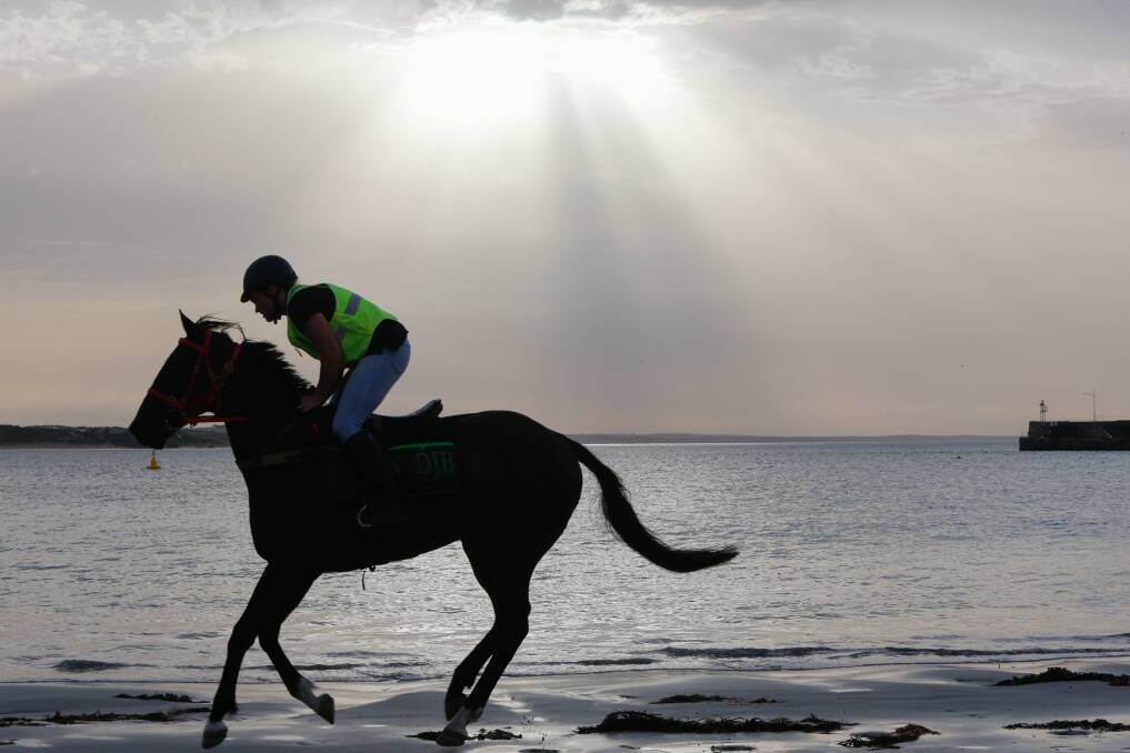 EARLY MORNING WORK: Horses train at Warrnambool's Lady Bay on Thursday. Picture: Mark Witte