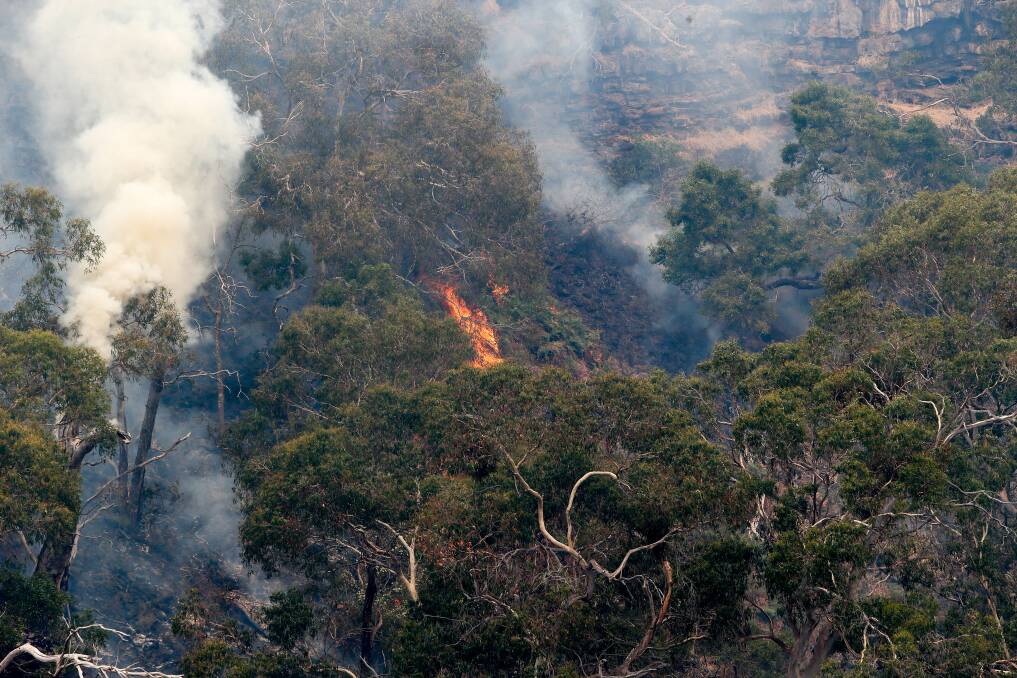 TREES BURN: Flames in the crater at Lake Surprise at Budj Bim National Park. Picture: Anthony Brady