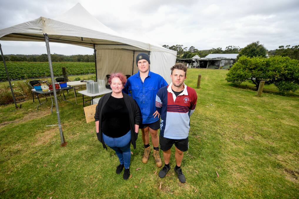 Rebuild: Lisa Stemp, Tom Archibald and Ryan Smith built a makeshift store where the farm will continue trading from while the restaurant is rebuilt. Picture: Morgan Hancock