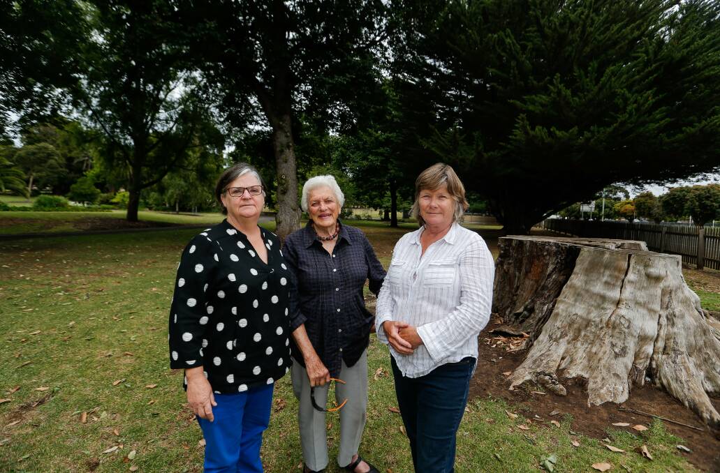 Support needed: Janet Macdonald, Pat Varley and Mandy King fear their moves to create a nature-based play space for children will be scuttled. Picture: Anthony Brady 