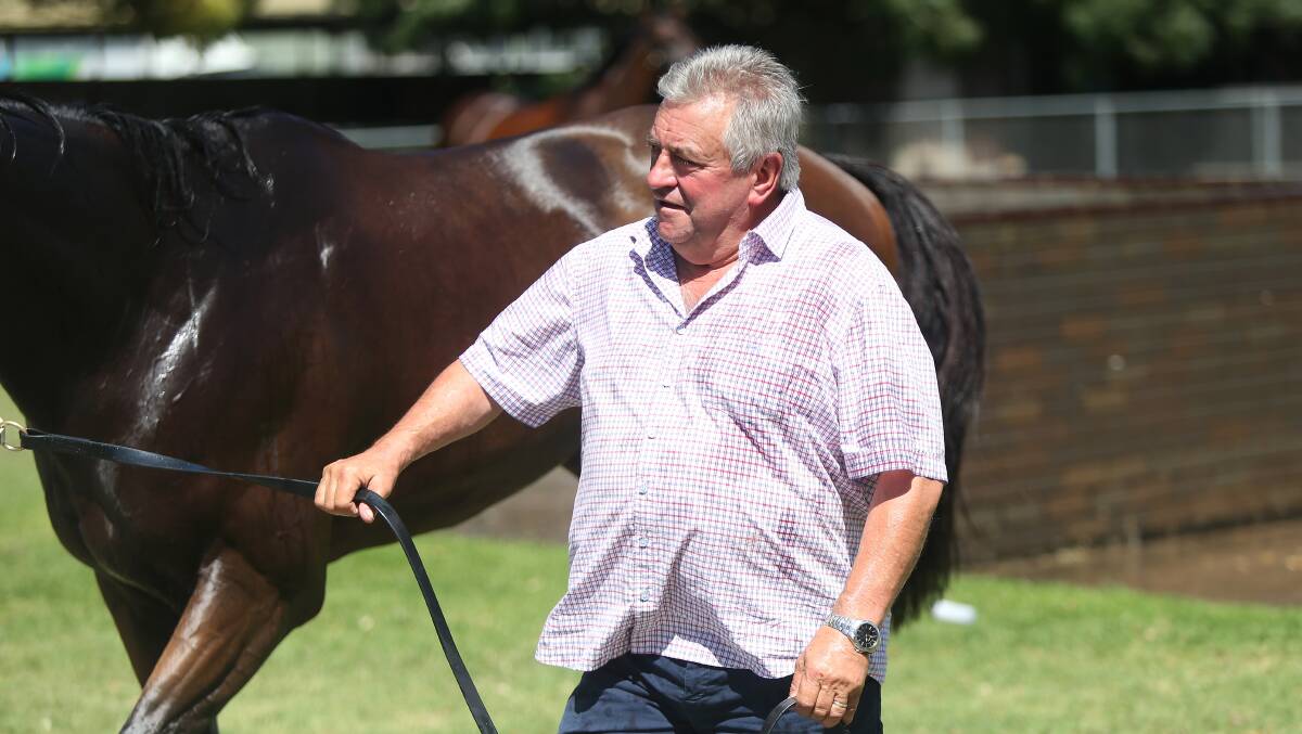 CONFIDENT: Trainer Eric Musgrove is bullish for Zatagilo ahead of Casterton on Saturday. Picture: Mark Witte