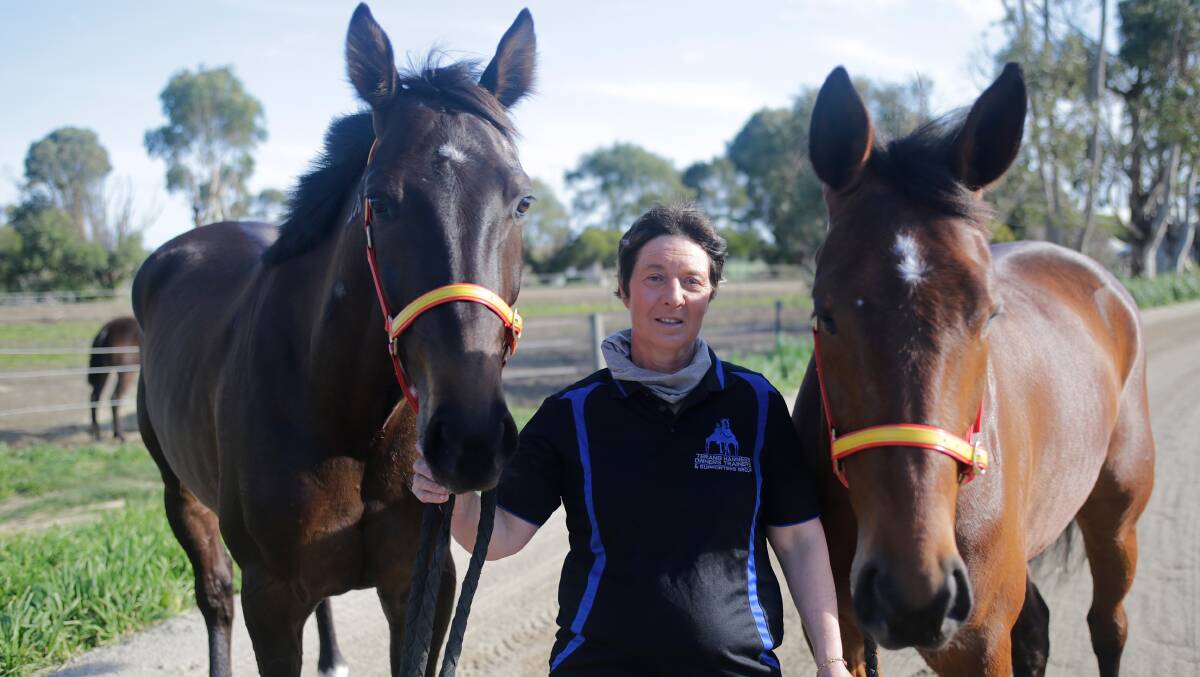 All set: Harness racing trainer Marg Lee with Highway to Heaven and Keayang Livana. Her son Jason will drive both horses on Saturday night. Picture: Mark Witte