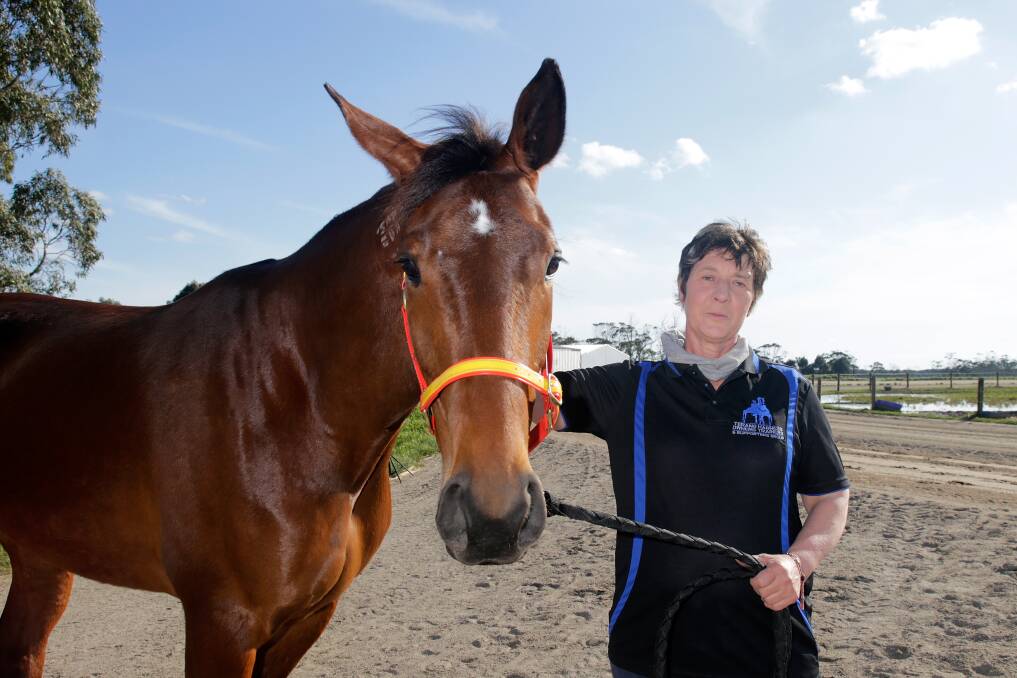 UP TO IT: Ecklin South harness racing trainer Marg Lee with Keayang Livana last week. The mare claimed her fifth victory at Terang's metro-class meet on Saturday night. Picture: Mark Witte