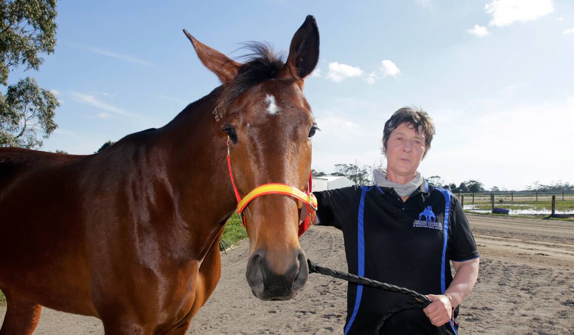 Shining in the sun: Harness racing trainer Marg Lee with Keayang Livana. Picture: Mark Witte