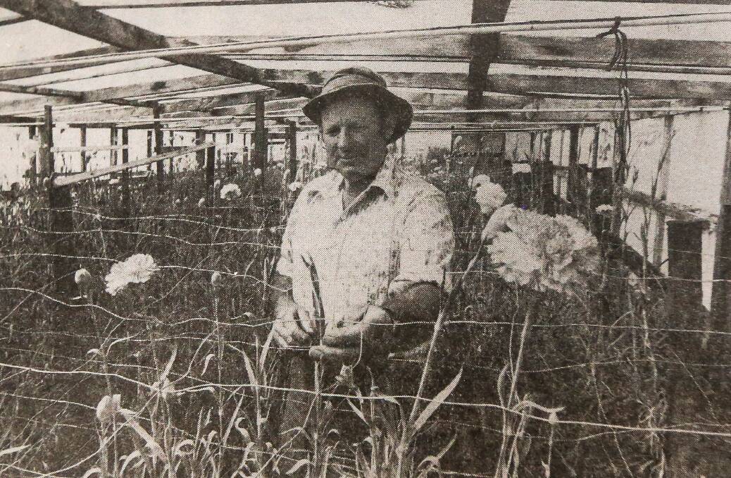 BUSY: Port Fairy's Frank Fitzgibbon shows off the talents of his green thumb as he tends to some plants in 1985.